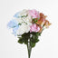 Rose Bush  B Asstd Box of 60