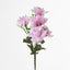 Rose Bush  B Asstd Box of 60