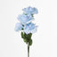 Rose Bush  B Asstd Box of 60