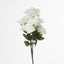 Rose Bush  B Asstd Box of 60