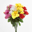 Rose Bush C Asstd Box of 60 - Pack of 60