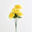 Rose Bush C Asstd Box of 60 - Pack of 60
