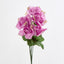 Rose Bush C Asstd Box of 60 - Pack of 60