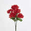 Rose Bush C Asstd Box of 60 - Pack of 60