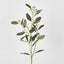 Eucalyptus Spray with Seed - Pack of 18