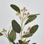 Eucalyptus Spray with Seed - Pack of 18