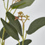 Eucalyptus Spray with Seed - Pack of 18