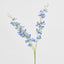 Dendrobium Spray Blue