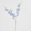 Dendrobium Spray Blue
