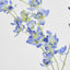 Dendrobium Spray Blue