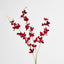 Dendrobium Spray Red - Pack of 12