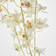 Dendrobium Spray White - Pack of 12