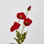 Mini Poppy Spray Red