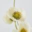 Mini Poppy Spray White