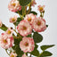 Burma Rose Spray Pink