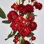 Burma Rose Spray Red - Pack of 12
