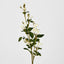 Pom Pom Rose Spray White - Pack of 12