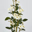 Pom Pom Rose Spray White - Pack of 12