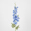 Delphinium 85cm Blue - Pack of 12
