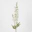 Delphinium 85cm White - Pack of 12