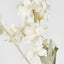 Delphinium 85cm White - Pack of 12