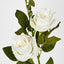 Rose Spray Cream - Pack of 12