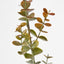 Eucalyptus Spray 65cm Pink - Pack of 12
