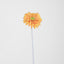 Gerbera Stem Orange