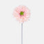 Gerbera Stem Pink - Pack of 72