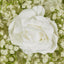 White Rose Hydrangea & Gyp Floral Wall