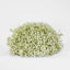 Baby's Breath Floral Ball