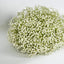 Baby's Breath Floral Ball