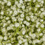 Baby's Breath Floral Ball