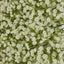 Baby's Breath Floral Runner