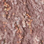 Dusty Pink Vertical Foliage Wall