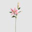 Casablanca 76cm Floral Stem Pink (Set of 12)