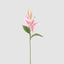 Casablanca 76cm Floral Stem Pink (Set of 12)