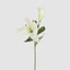 Casablanca 76cm Floral Stem White (Set of 12)