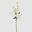 Casablanca 76cm Floral Stem White (Set of 12)