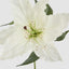 Casablanca 76cm Floral Stem White (Set of 12)