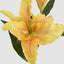 Casablanca 76cm Floral Stem Yellow (Set of 12)