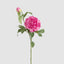 Peony 69cm Floral Stem Hot Pink (Set of 12)