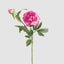 Peony 69cm Floral Stem Hot Pink (Set of 12)