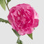 Peony 69cm Floral Stem Hot Pink (Set of 12)