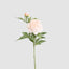 Peony 69cm Floral Stem Blush Pink (Set of 12)