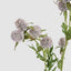Thistle Spray 73cm Purple (Set of 12)