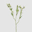 Thistle Spray 73cm White (Set of 12)