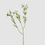 Thistle Spray 73cm White (Set of 12)