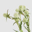 Thistle Spray 73cm White (Set of 12)