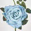 Queen Rose 35cm Blue - Pack of 12